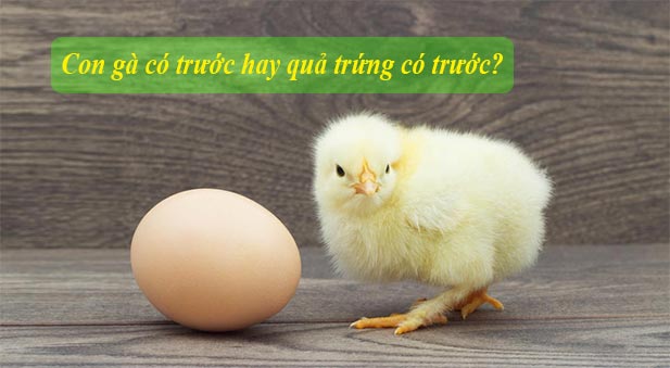 Con gà có trước hay quả trứng có trước? Đã có đáp án chính xác