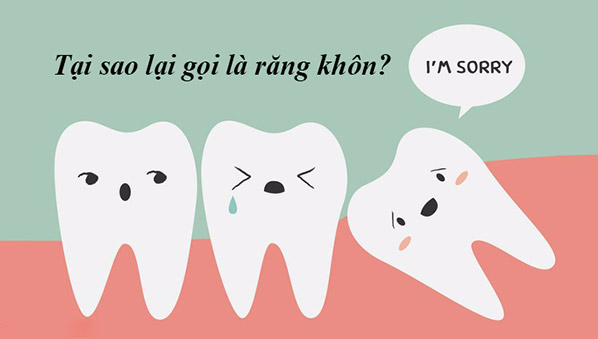 Tại sao lại gọi là răng khôn? Răng khôn có tác dụng gì?